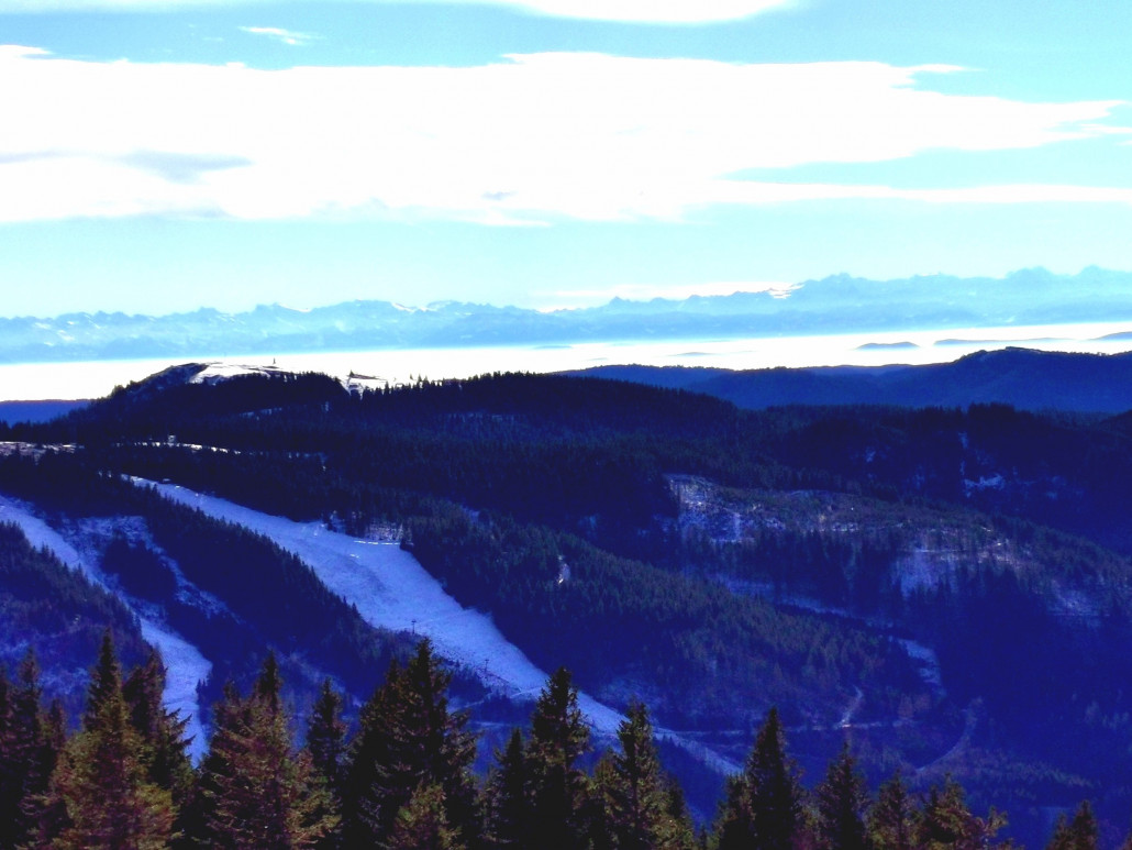 Urner und östliche Berner Alpen