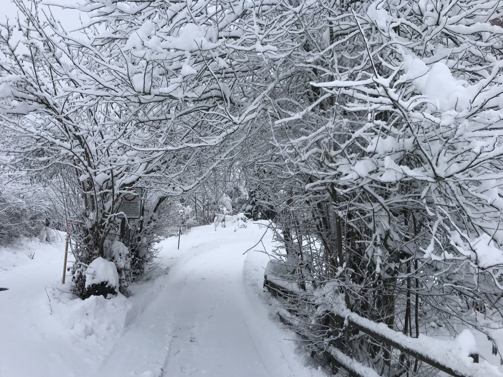 2020-12-06 12.44.45.jpg