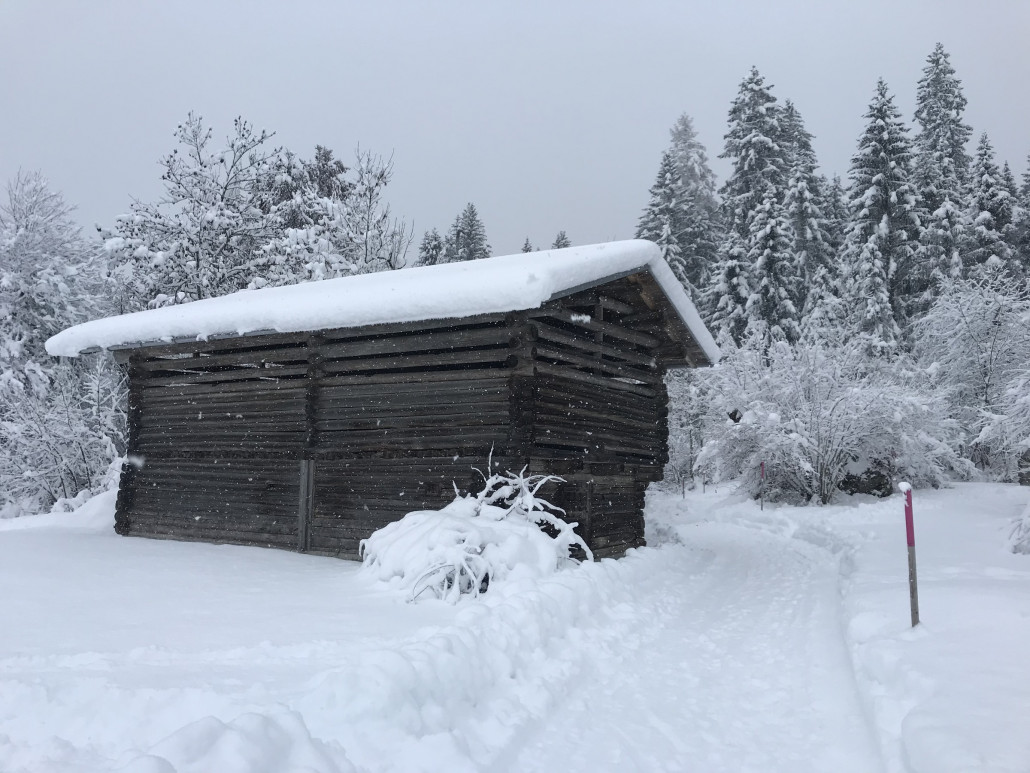 2020-12-06 12.55.37.jpg