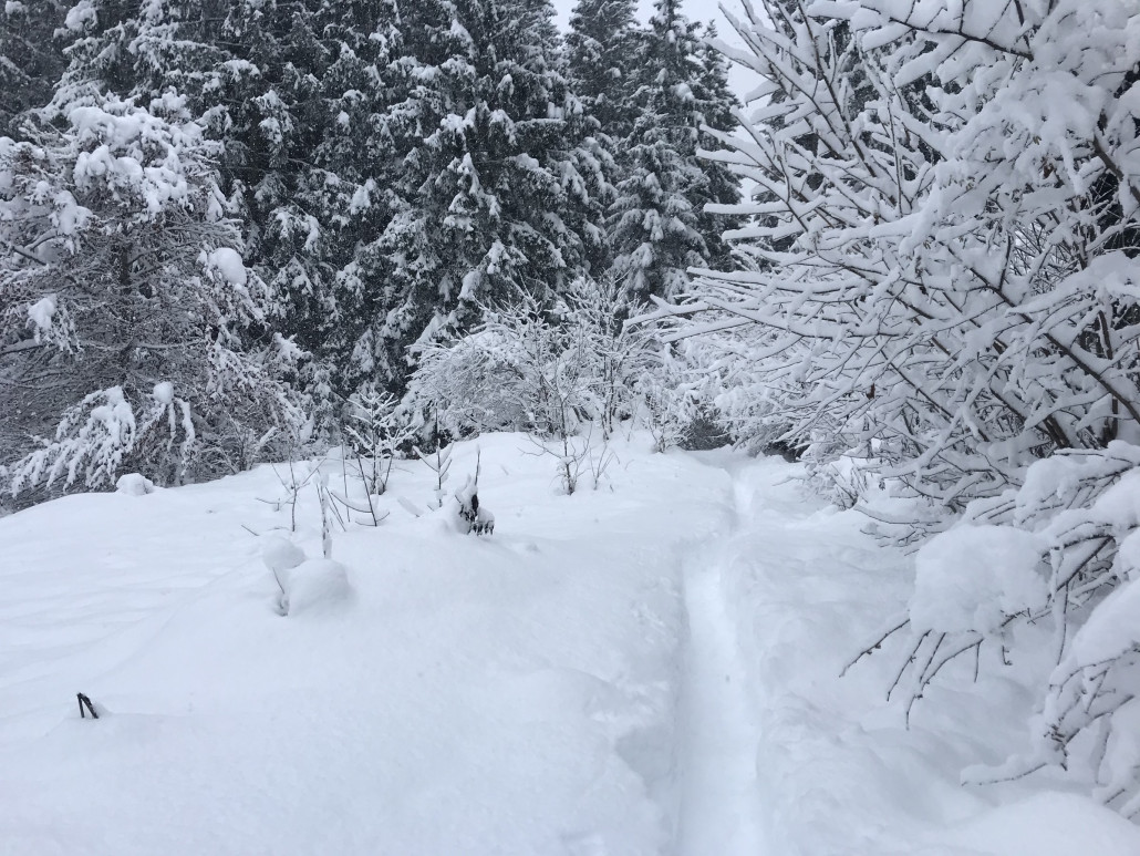 2020-12-06 12.56.31.jpg