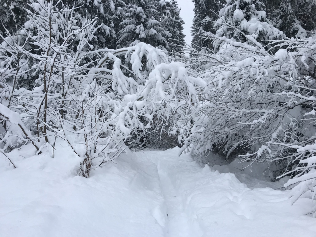 2020-12-06 12.56.47.jpg