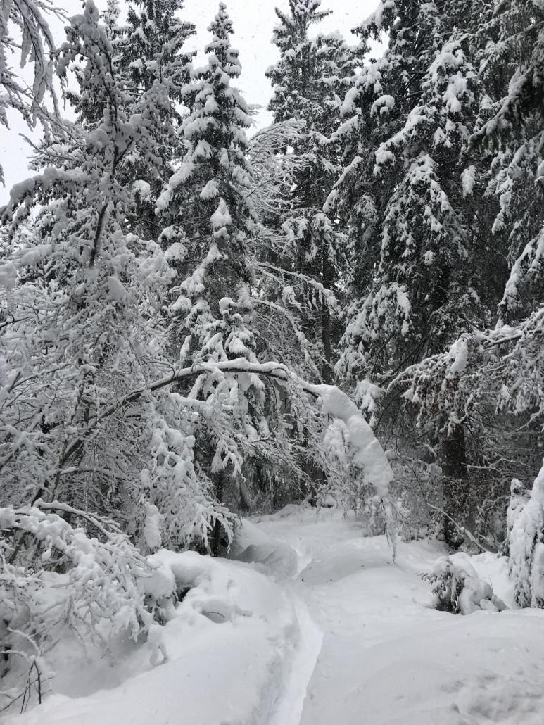 2020-12-06 12.58.57.jpg