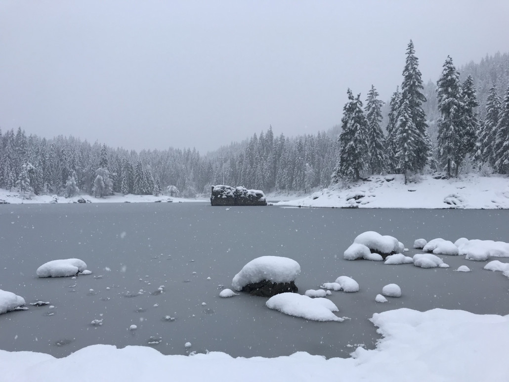 2020-12-06 13.37.50.jpg