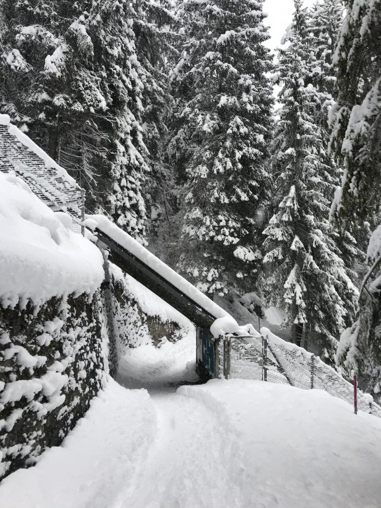 2020-12-06 13.32.01.jpg