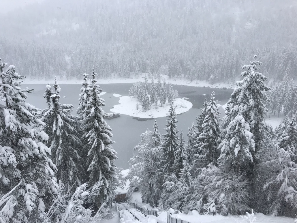 2020-12-06 14.09.28.jpg