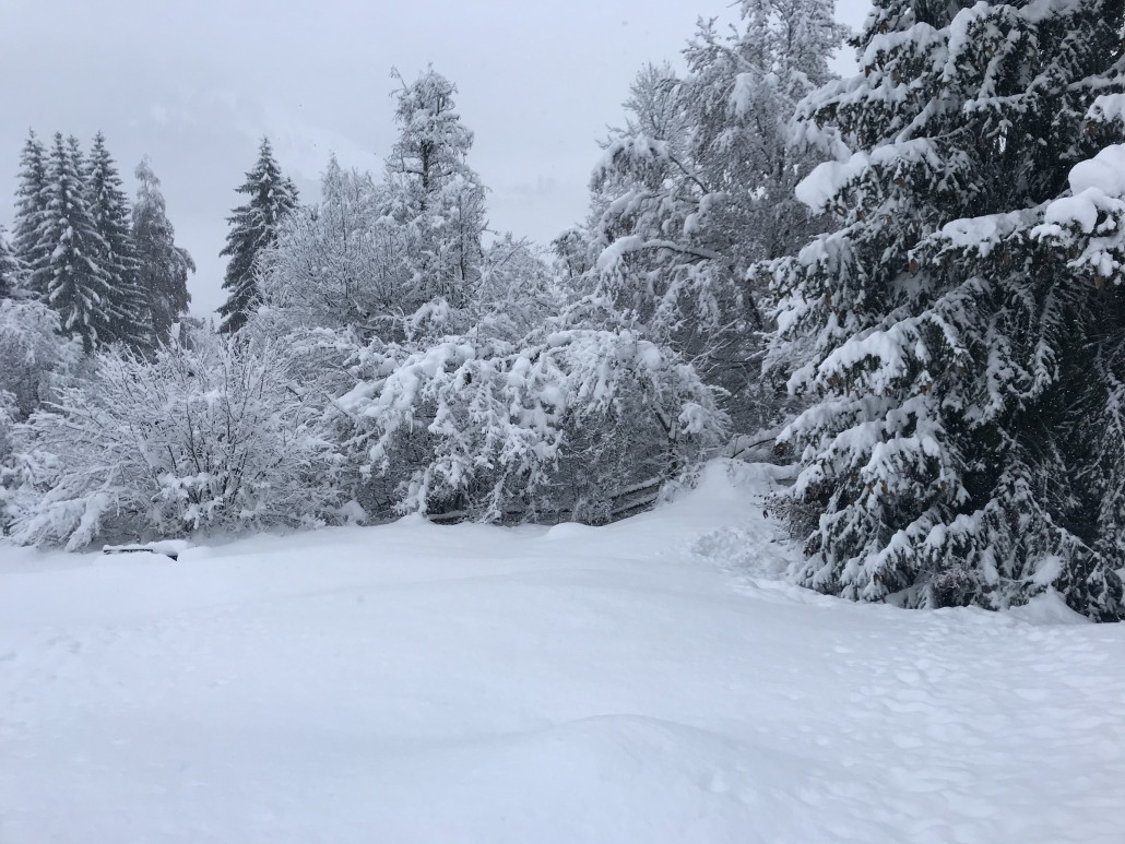 2020-12-06 14.33.12.jpg