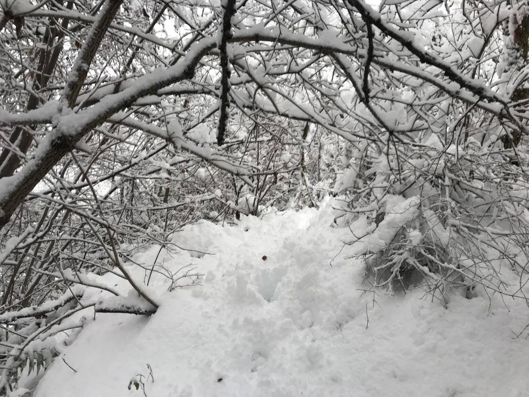 2020-12-06 14.35.36.jpg