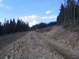 Ganzeben-Abfahrt, etwas weiter oben. Leider nicht mehr als ein breiter Skiweg... Da haelt sich wenigstens der Schnee...