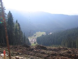 Almabfahrt - von weiter oben gesehen in Richtung Talstation. Schaut ja mal ganz gut aus. Vom Gefaelle her aehnlich wie der steilste Teil der Kaltenbach-Abfahrt.
