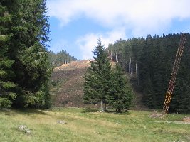 Unterer Bereich der Almabfahrt von der Steinbachalm aus gesehen. Dieser Teil scheint der skifahrerisch interessante zu werden. Fuer Stuhlecker Verhaeltnisse ;o)