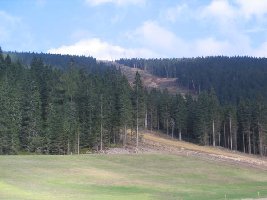 Steinbachalm - von links kommend sieht man die Ganzeben-Abfahrt, in der Mitte die Almabfahrt, entlang der auch die Sesselbahn gebaut wird.