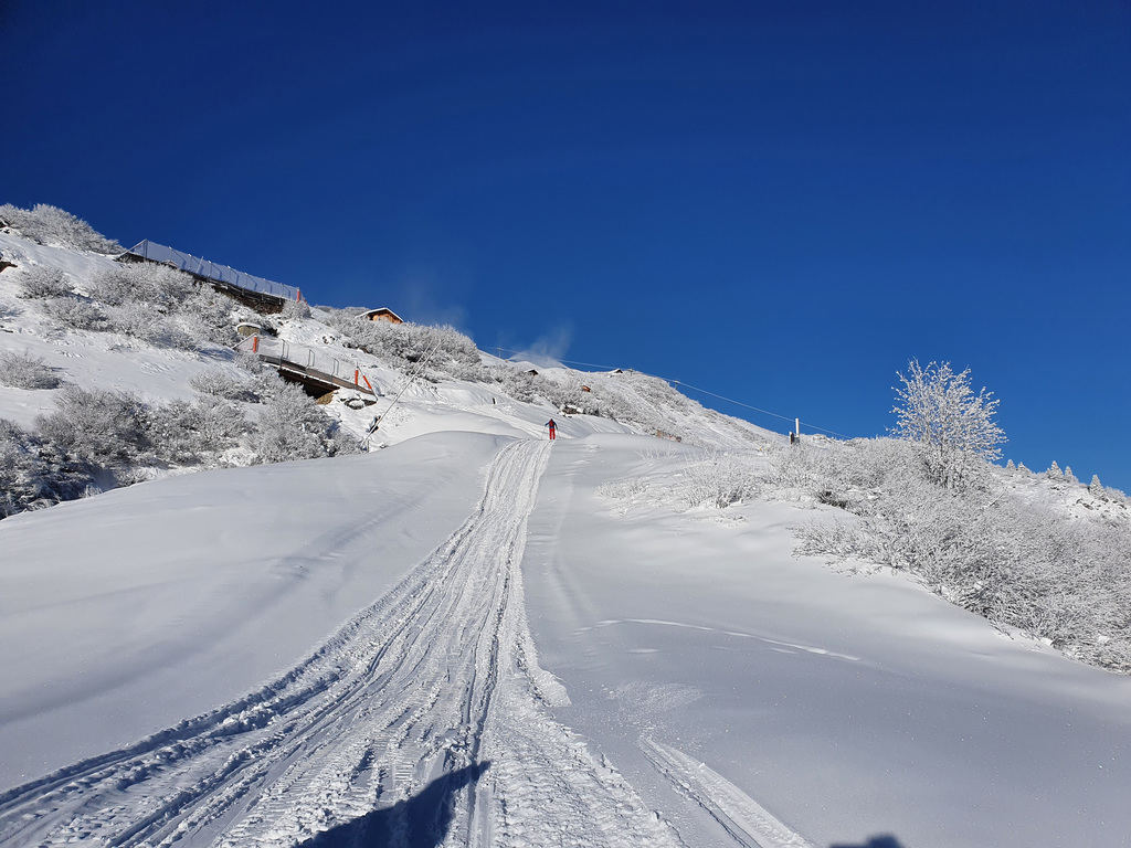 Seekopf_Dez_20_LZTG_by_Markus_Hahn (8).jpg