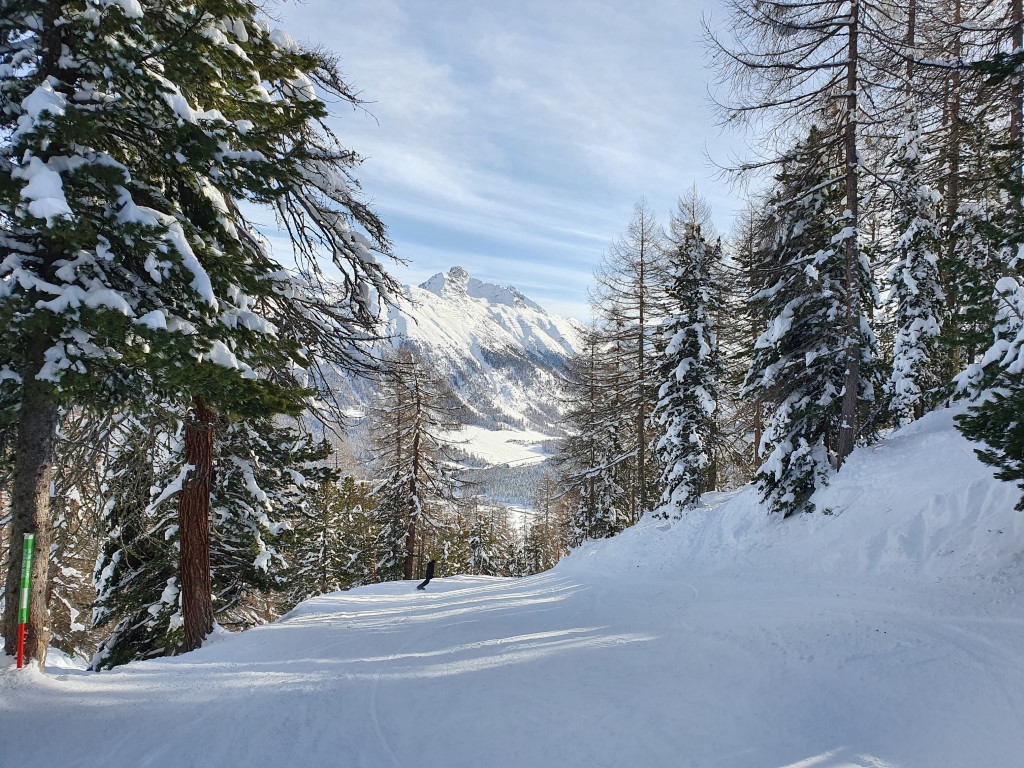 Corviglia-2020 (35).jpg