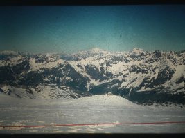 Nochmal Testa Grigia