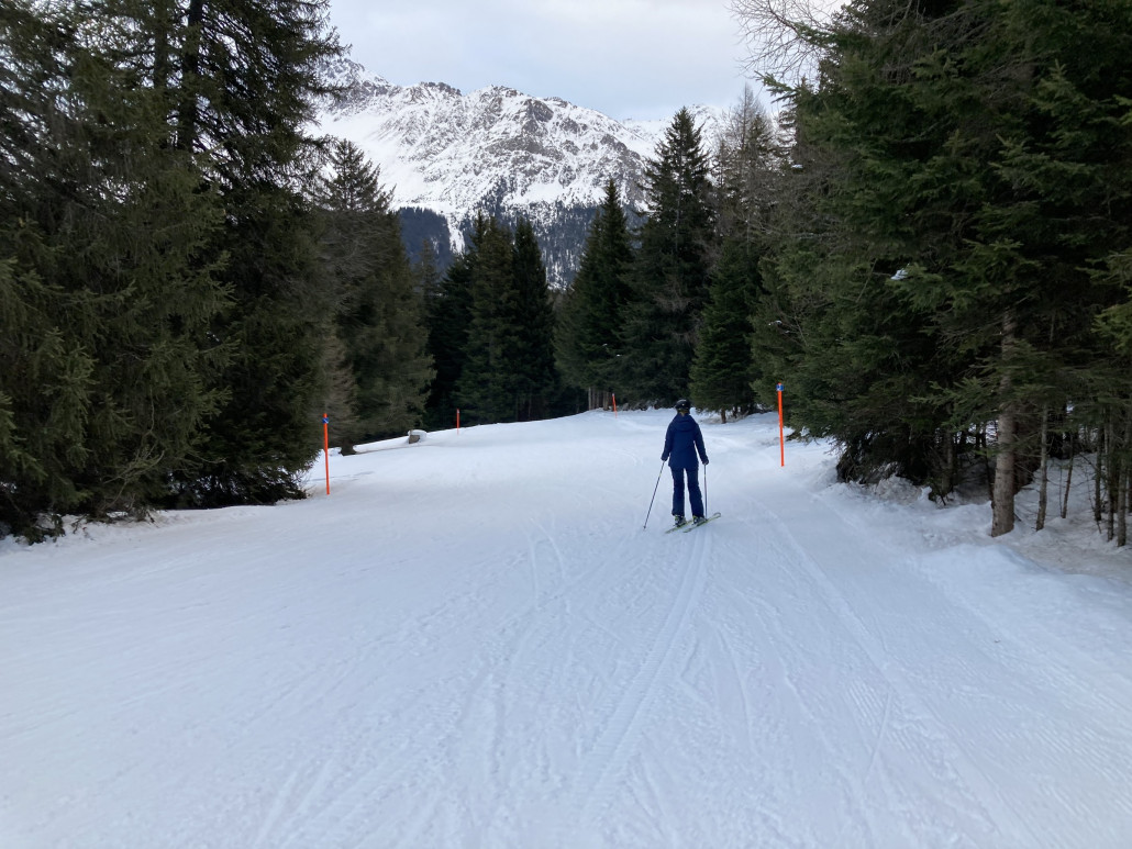 Die Piste führt zuerst romantisch durch den Wald.
