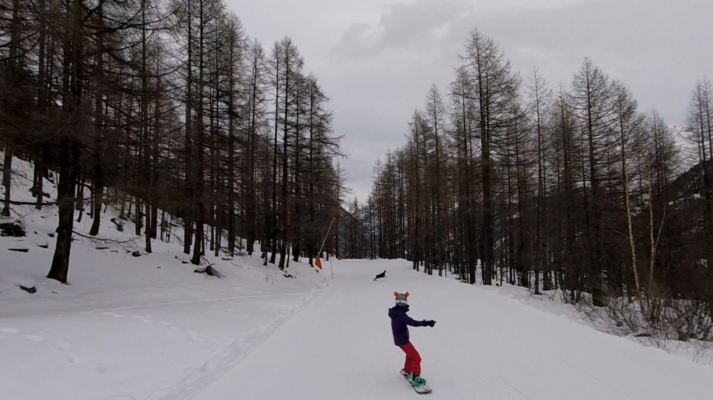 Furgg-Furi mit Gämse, lol