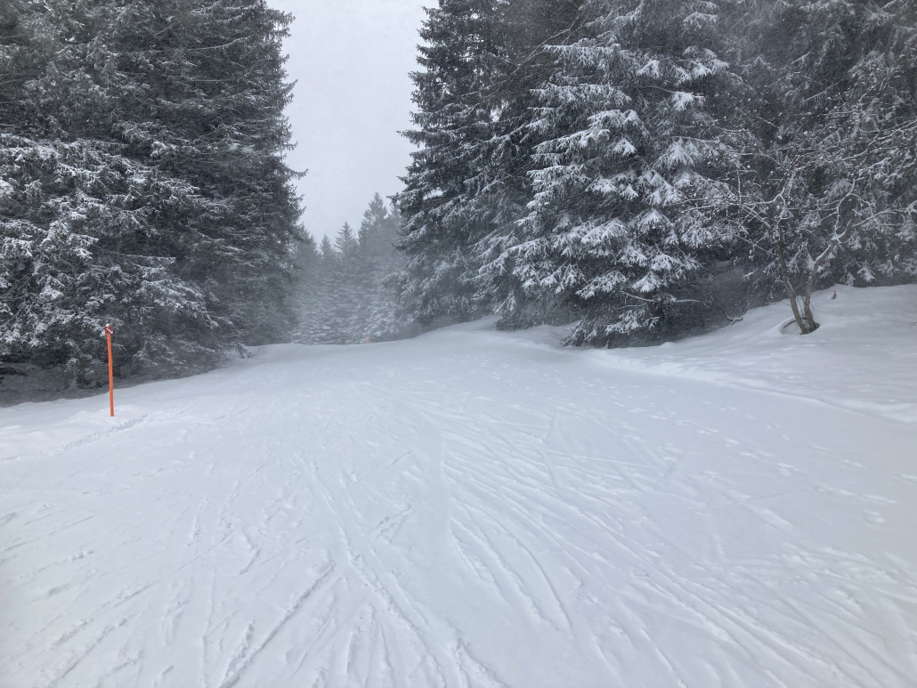 Bei der Bergstation muss zuerst dieses kurze Flachstück zurückgelegt werden, um auf die Abfahrten zu gelangen.