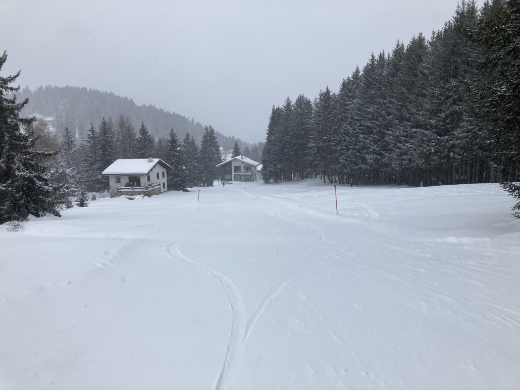 Durch den starken Wind bleibt der Schnee leider nicht auf den Tannen liegen.