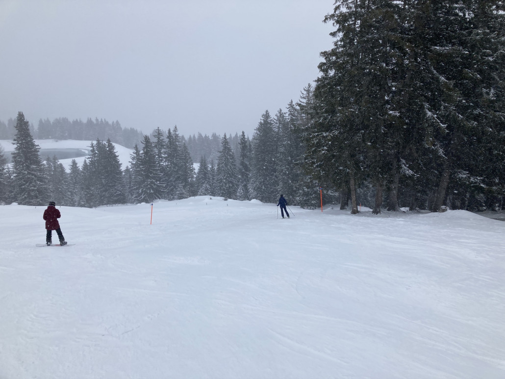 45. Grundsätzlich eine schöne Abfahrt durch den Wald und über Lichtungen. Lediglich der fiese Gegenanstieg etwa in der Mitte der Piste schmälert den Spass ein wenig.