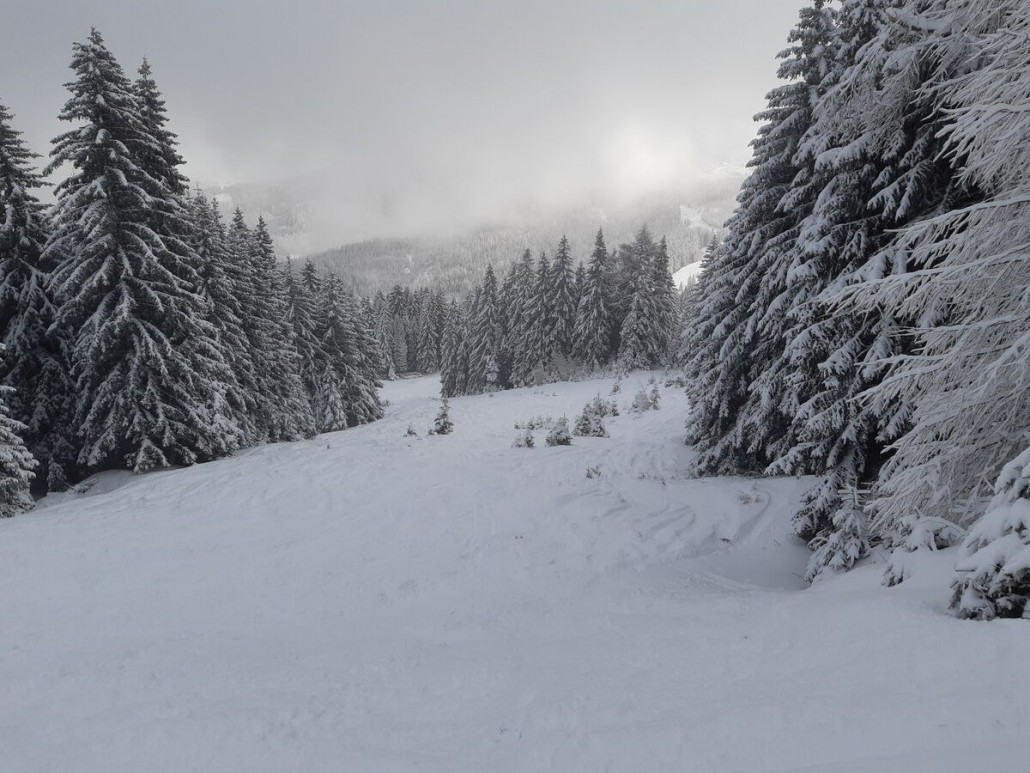 30. Dezember, alte Fis beim Moselebauer