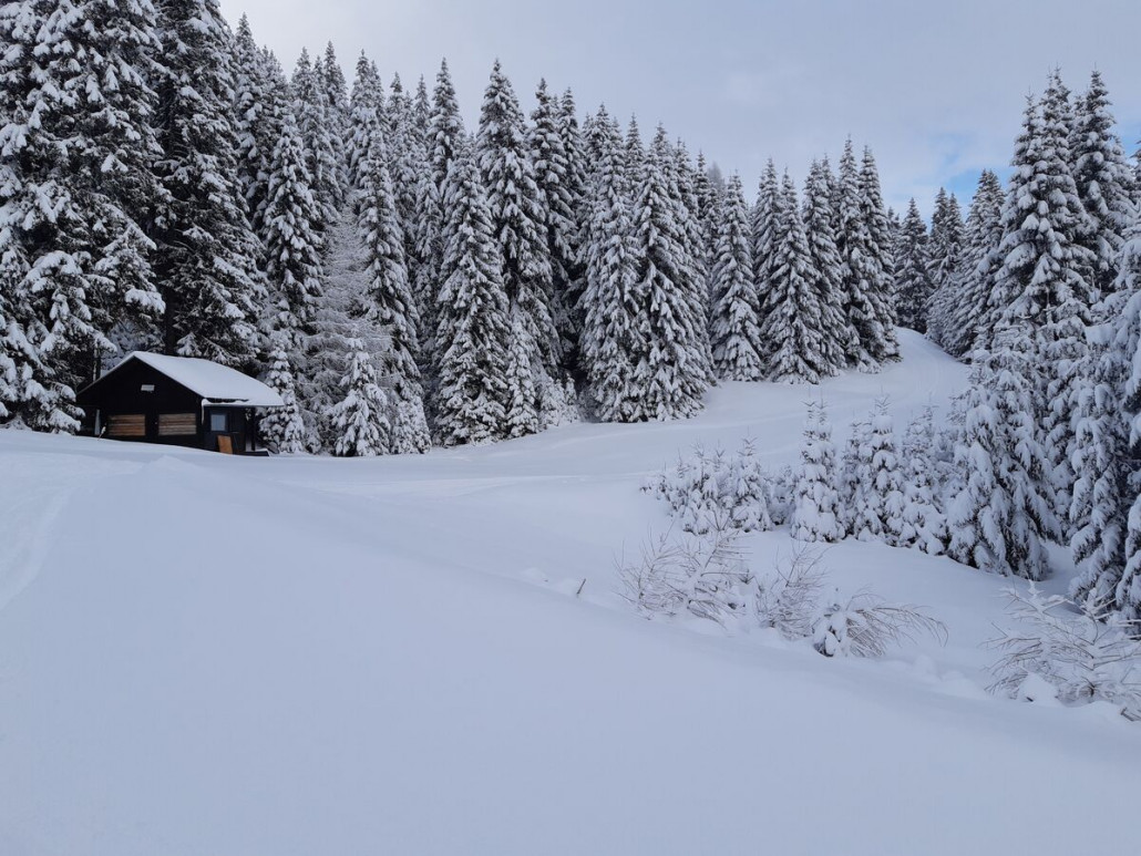 30. Dezember, Kreuzung Bischofhütten/FIS