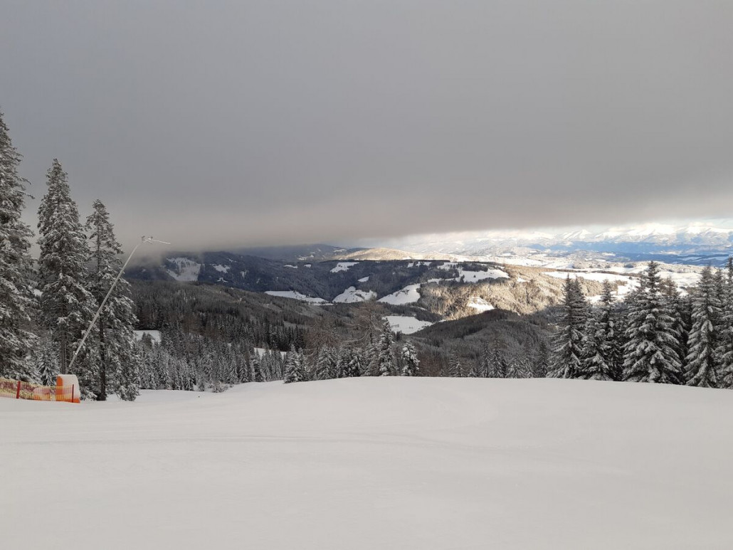 29. Dezember, Bärenwald