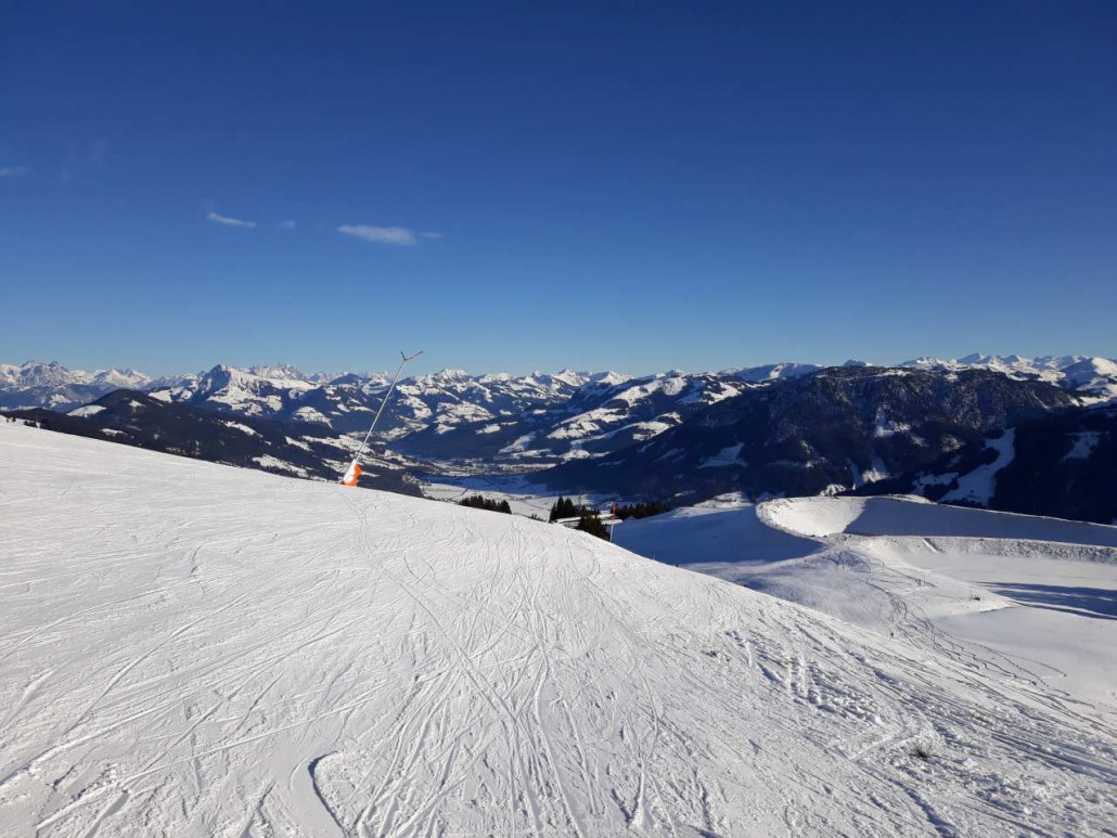 Kälbersalve: meist griffig