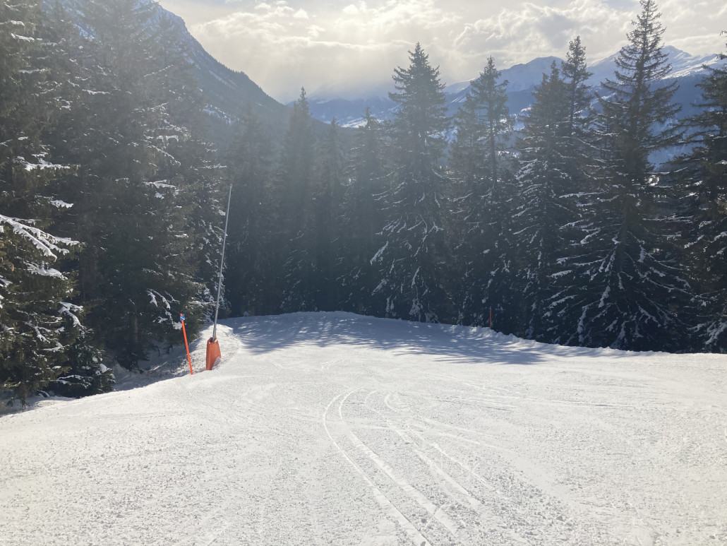 Die "Schlüsselstelle" ist gut zu fahren. Die braunen und steinigen Stellen der vergangenen Woche sind auf der kompletten Abfahrt weg.