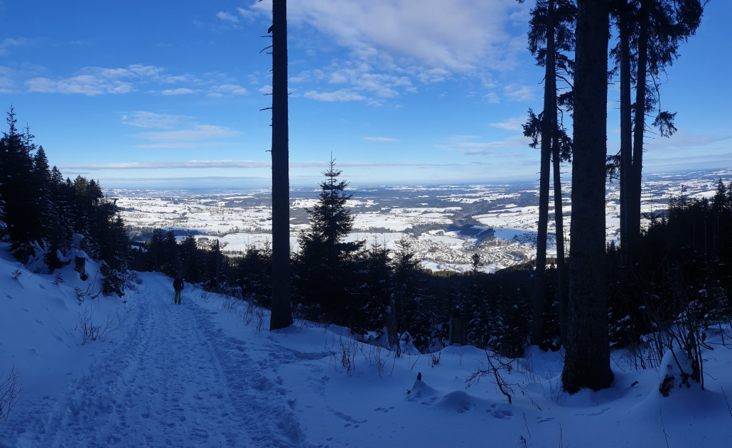 Es könnte so schön sein...