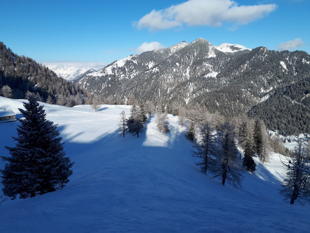 Vom Hochegg off Piste