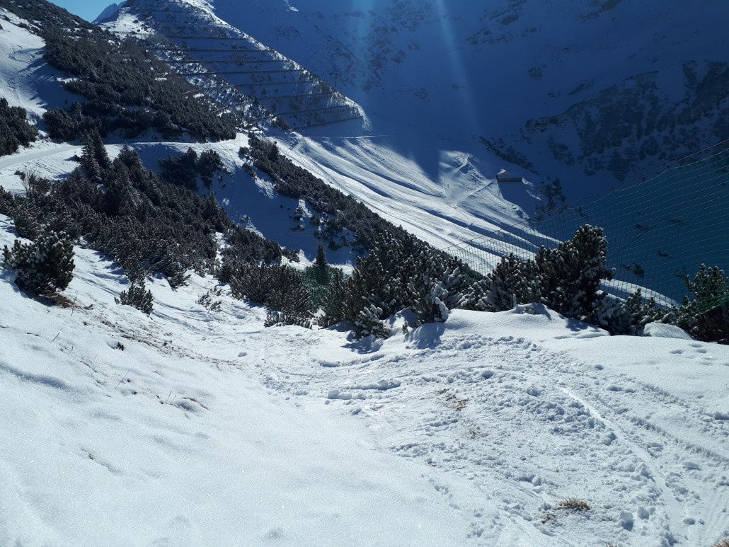 Von der Piste zwischen die Sträucher runter