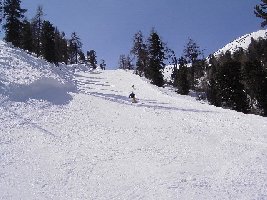 Die Piste de Lona (16b) mündet etwas weiter unten in den Wald. Hier sieht man das erste Waldstück.