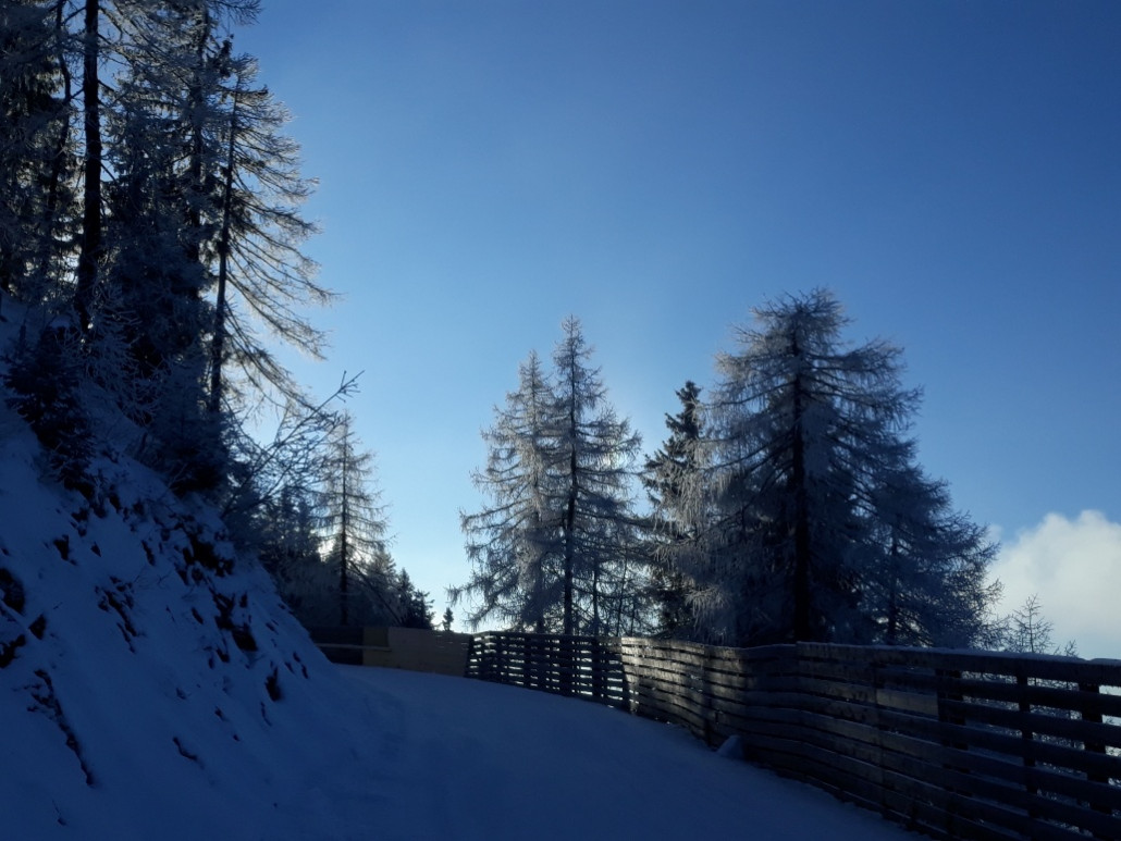 am Ende Hangbrücke zur Piste 45 ist es einwenig eisig.