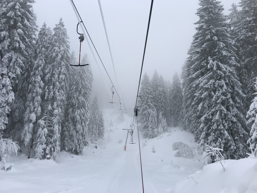 2021-01-13 13.12.01.jpg