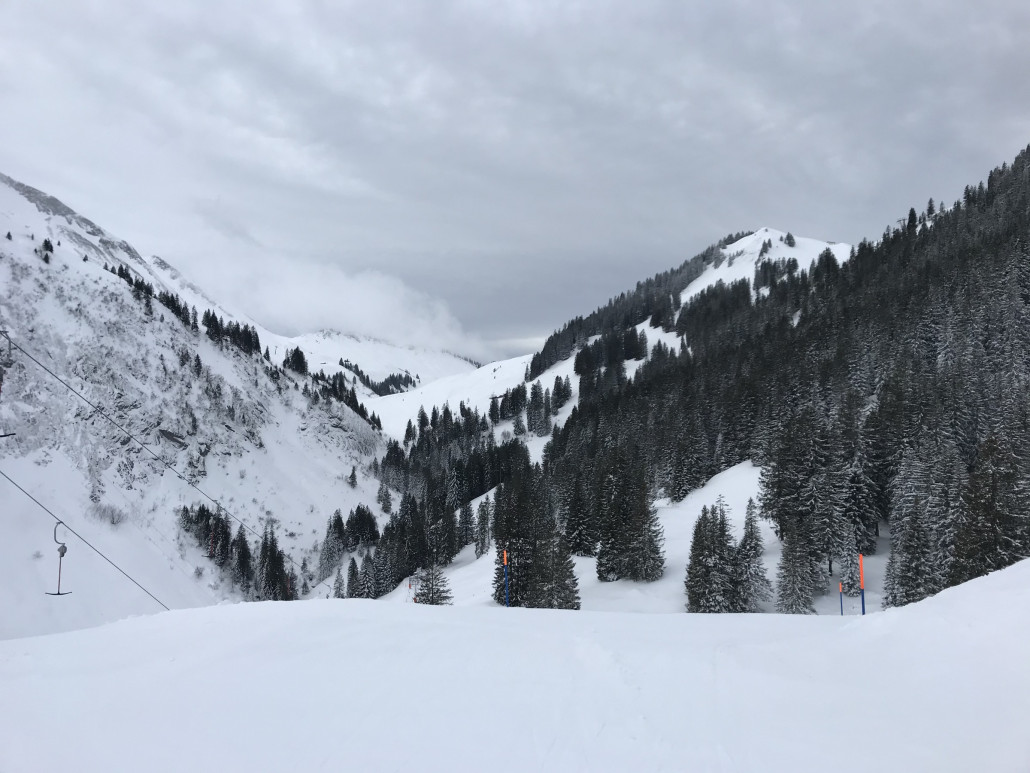 2021-01-13 13.19.09.jpg