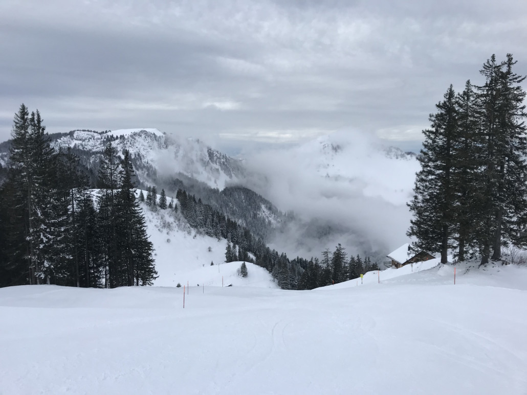 2021-01-13 13.50.33.jpg