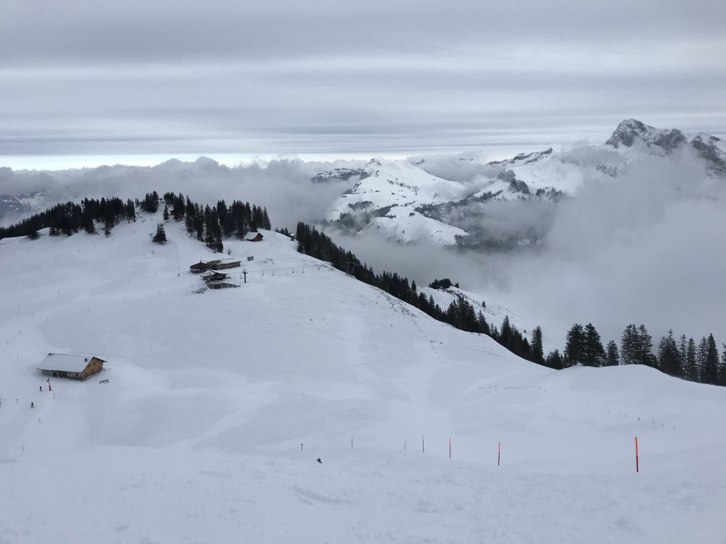 2021-01-13 14.36.50.jpg