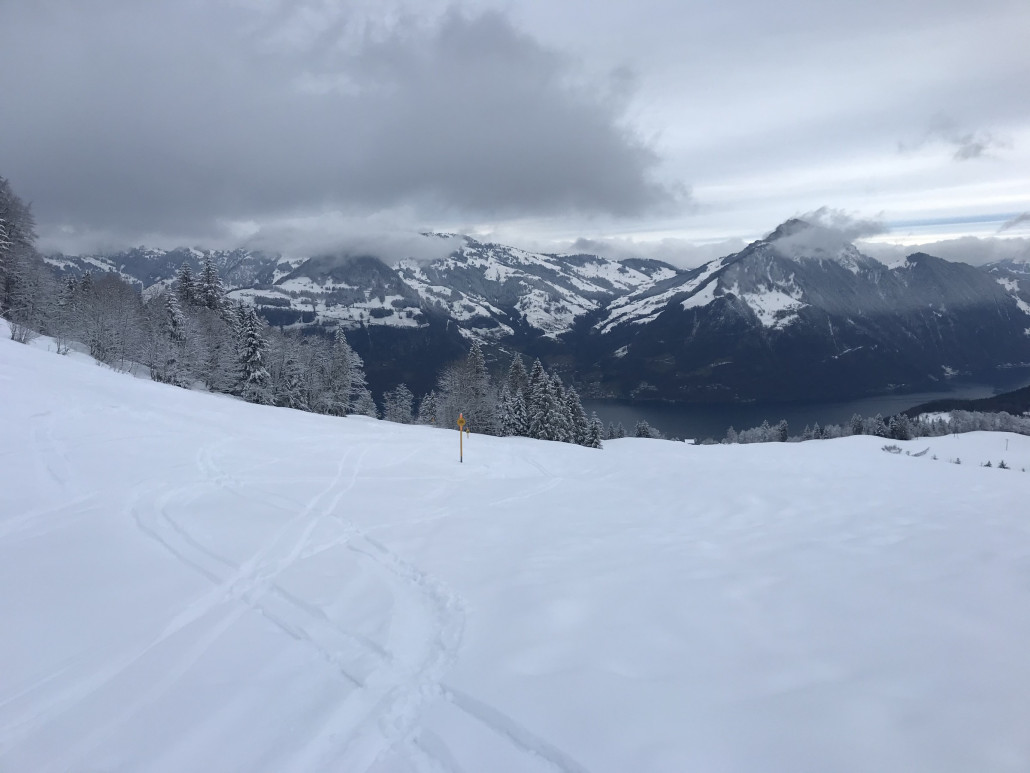 2021-01-13 15.33.02.jpg