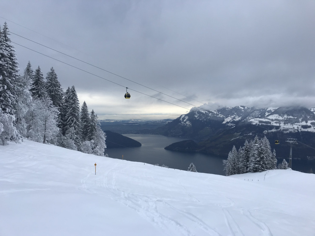 2021-01-13 15.34.41.jpg