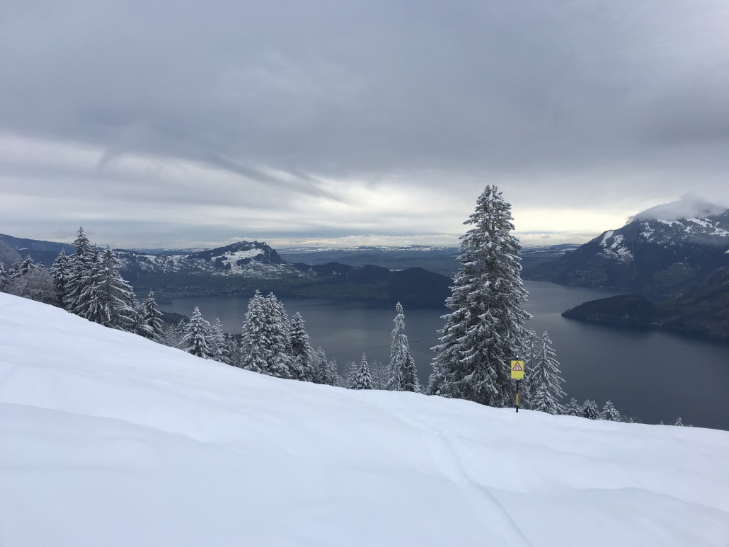 2021-01-13 15.36.40.jpg