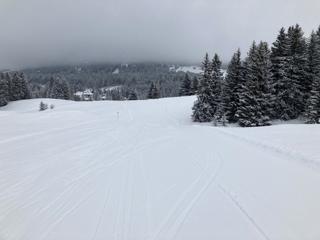 Natürlich stand auch der SL Fadail auf dem heutigen Programm. Deshalb nahm ich die von mir seltenst befahrene Verbindung von der Talstation Pedra Grossa zum Kassenbereich Fadail.