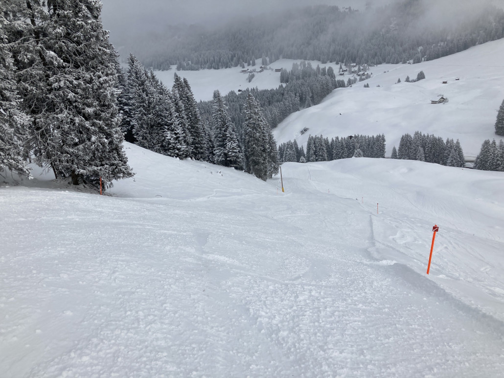 Über den Farbelahang ging es ohne Zwischenfahrt im Stätz nach Churwalden. Der Neuschnee und die Tatsache, dass diese Abfahrt endlich wieder einmal präpariert wurde, taten der Piste gut.