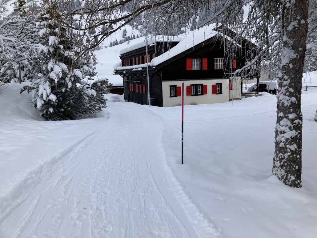 Fahrt durch Parpan. Auf diese Weise hat man deutlich schneller gewechselt.