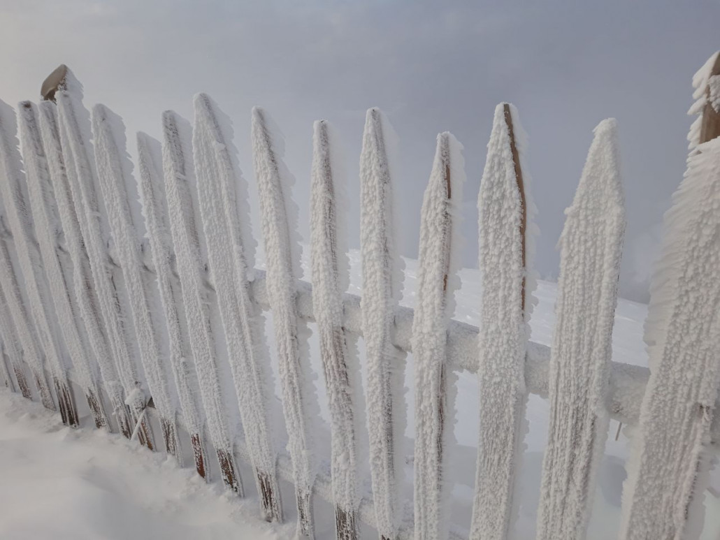 nördlich der Gipfelalm