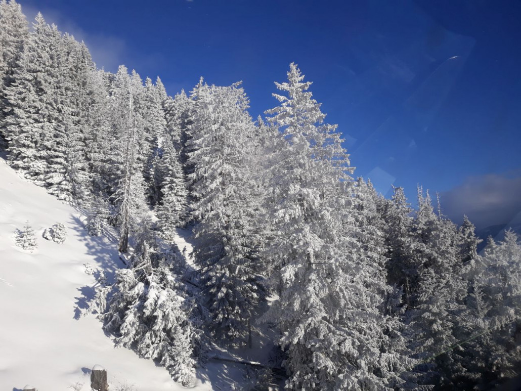 Hopfgartner Salvenseite