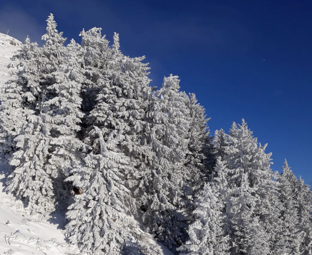 Hopfgartner Salvenseite