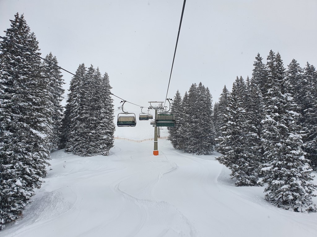 MitteJanner21 (3).jpg