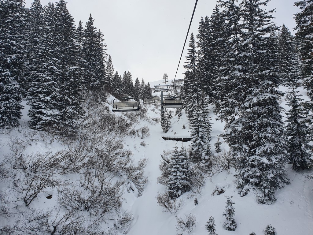 MitteJanner21 (8).jpg