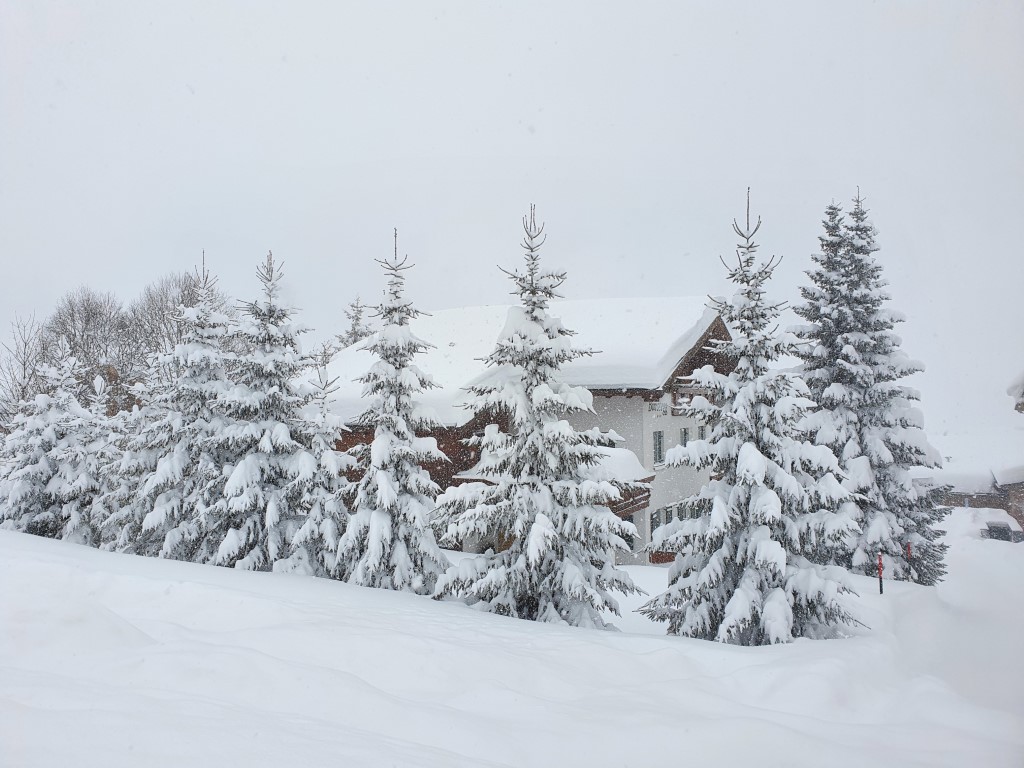 Schneebombe_Mitte_Jan21 (6).jpg