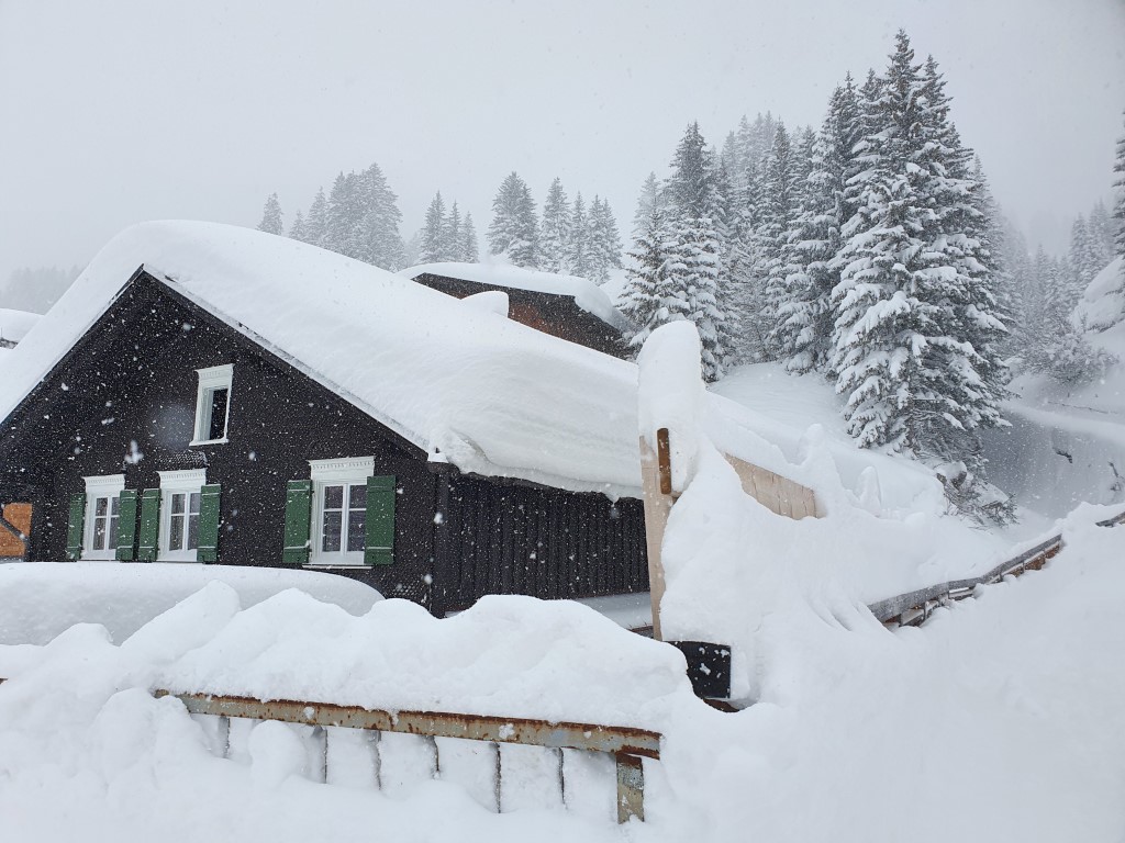 Schneebombe_Mitte_Jan21 (8).jpg